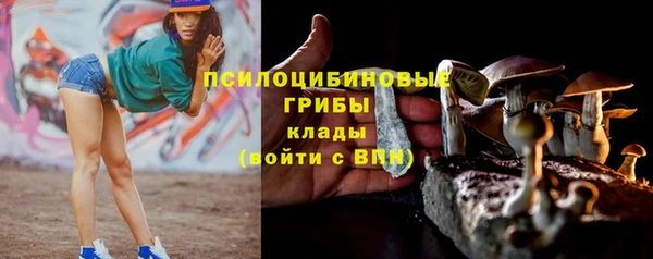 шишки Алзамай
