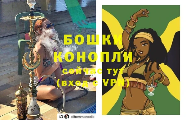 шишки Алзамай